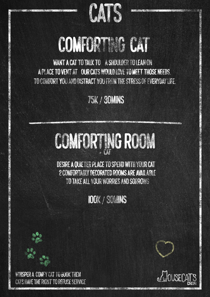 Cats Cats